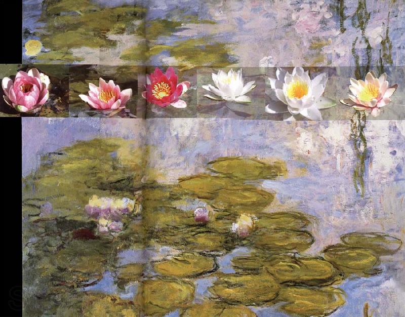Claude Monet Detail from Water Lilies Norge oil painting art